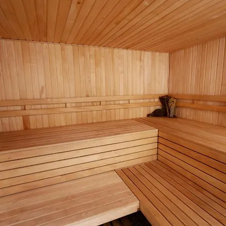 - The Niu, Belt Frankfurt By Ihg Hotel 3*